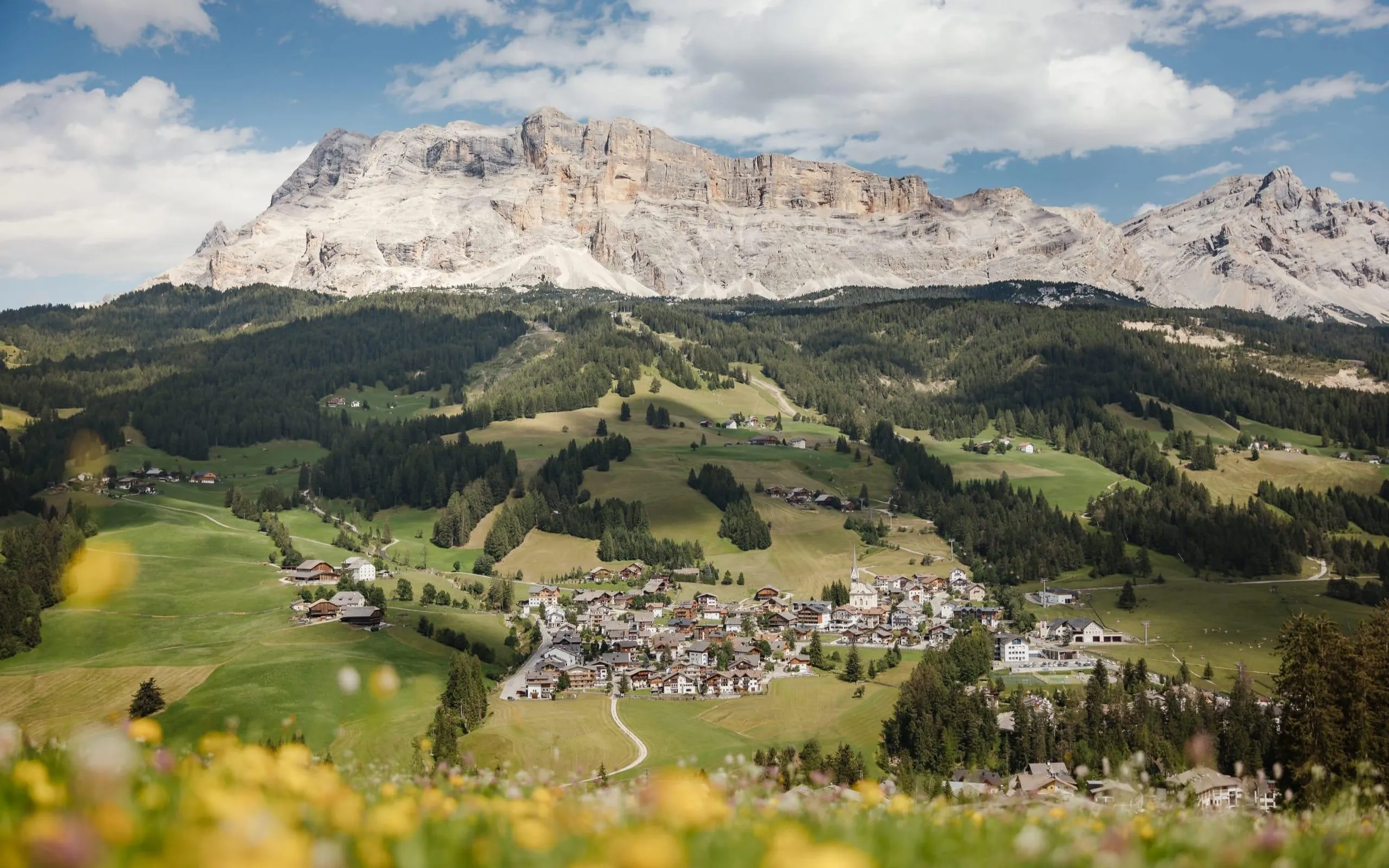 Badia